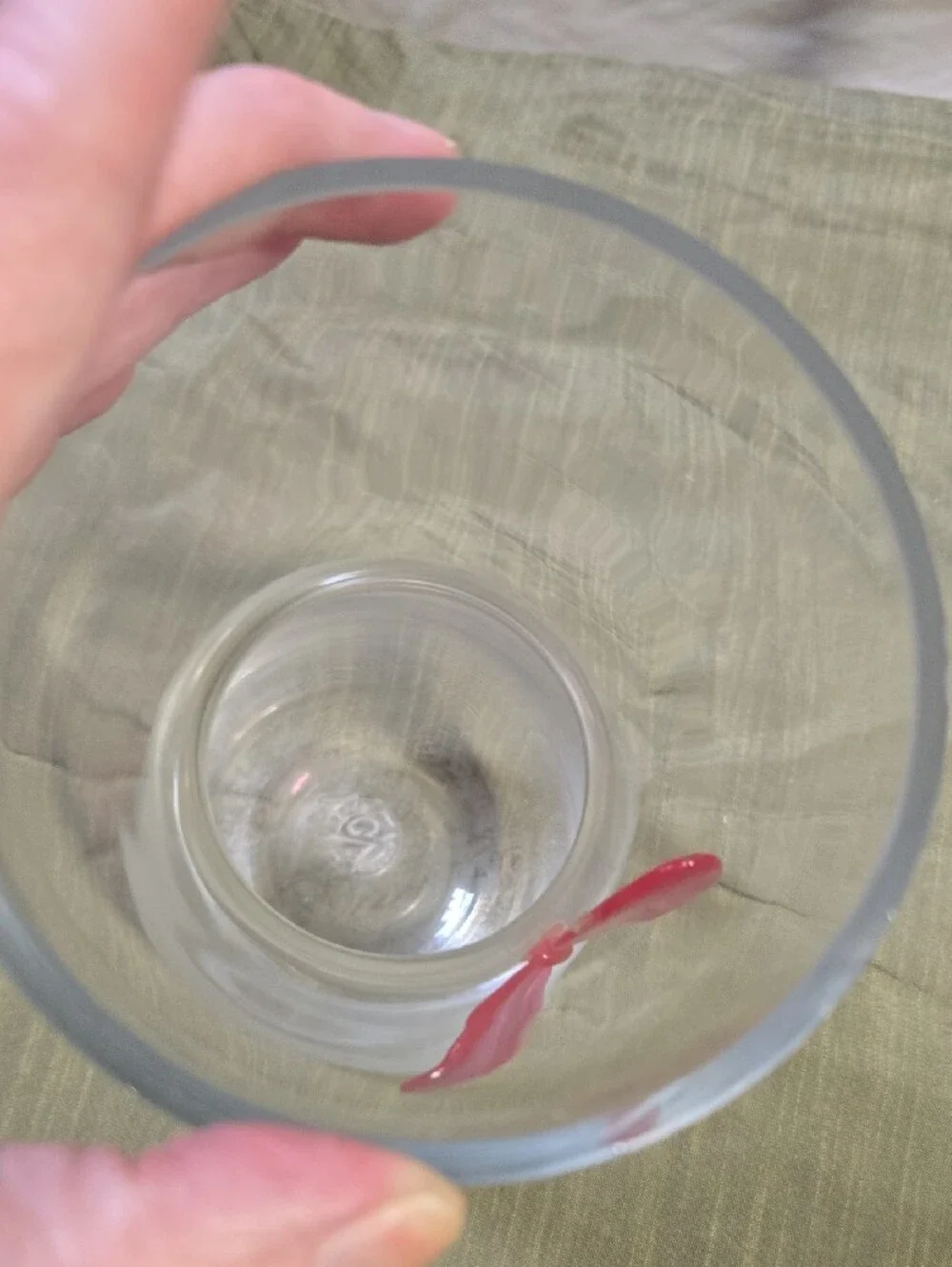 Clear Glass Vase with Pink Butterfly Accent - Decorative Home Vase